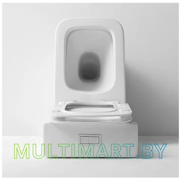 Унитаз CeramaLux NS 2170 картинка 4